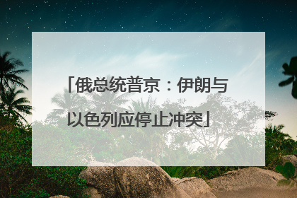 俄总统普京：伊朗与以色列应停止冲突