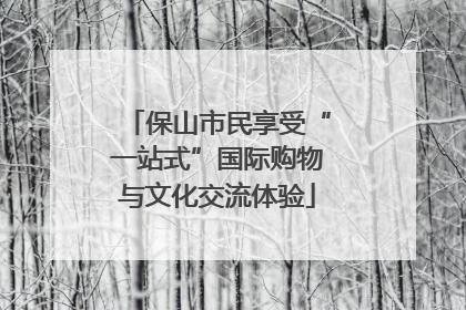 保山市民享受“一站式”国际购物与文化交流体验