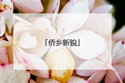 侨乡新貌