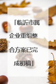 临沂市属企业重组整合方案已完成初稿