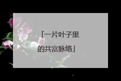 一片叶子里的共富脉络
