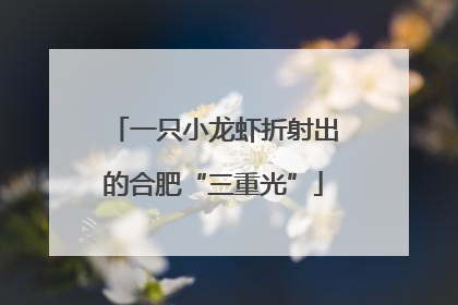 一只小龙虾折射出的合肥“三重光”