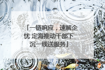一链响应，速解企忧 定海推动干部下沉一线送服务