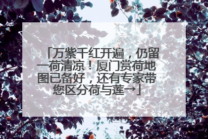 万紫千红开遍，仍留一荷清凉！厦门赏荷地图已备好，还有专家带您区分荷与莲→