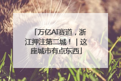 万亿AI赛道，浙江押注第二城！｜这座城市有点东西