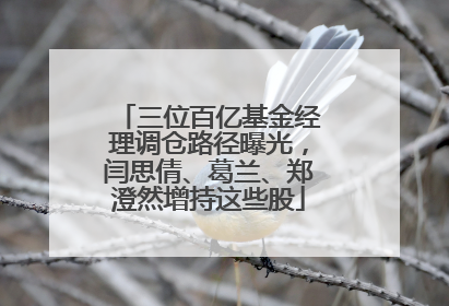 三位百亿基金经理调仓路径曝光，闫思倩、葛兰、郑澄然增持这些股