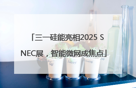 三一硅能亮相2025 SNEC展，智能微网成焦点