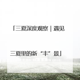 三夏深度观察｜遇见三夏里的新“丰”景