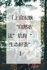 上官宏耿:“自然农法”培育“生态好茶”