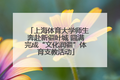 上海体育大学师生奔赴新疆叶城 圆满完成“文化润疆”体育支教活动