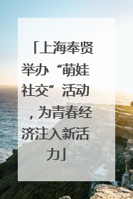 上海奉贤举办“萌娃社交”活动，为青春经济注入新活力