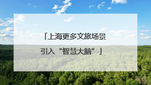 上海更多文旅场景引入“智慧大脑”