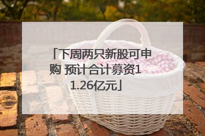 下周两只新股可申购 预计合计募资11.26亿元