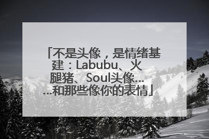 不是头像，是情绪基建：Labubu、火腿猪、Soul头像……和那些像你的表情