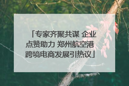 专家齐聚共谋 企业点赞助力 郑州航空港跨境电商发展引热议