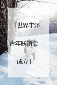 世界丰泽青年联谊会成立