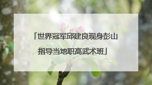 世界冠军邱建良现身彭山 指导当地职高武术班