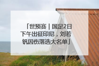 世预赛｜国足2日下午出征印尼，刘若钒因伤落选大名单