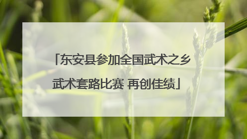 东安县参加全国武术之乡武术套路比赛 再创佳绩