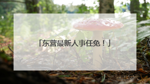 东营最新人事任免！
