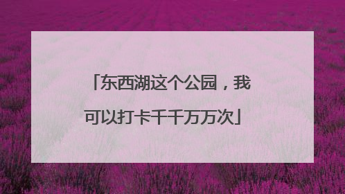 东西湖这个公园，我可以打卡千千万万次