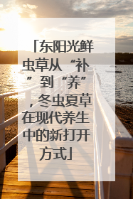 东阳光鲜虫草从“补”到“养”，冬虫夏草在现代养生中的新打开方式