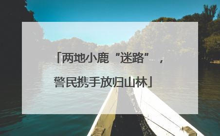 两地小鹿“迷路”，警民携手放归山林