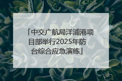 中交广航局洋浦港项目部举行2025年防台综合应急演练