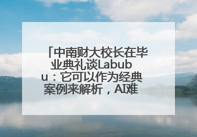 中南财大校长在毕业典礼谈Labubu：它可以作为经典案例来解析，AI难以给出答案