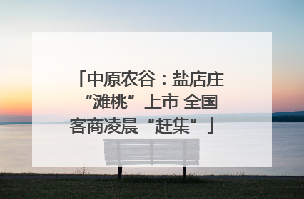 中原农谷：盐店庄“滩桃”上市 全国客商凌晨“赶集”
