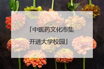 中医药文化市集开进大学校园