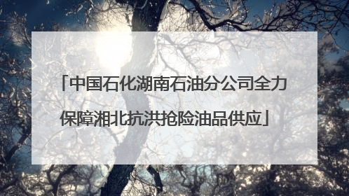 中国石化湖南石油分公司全力保障湘北抗洪抢险油品供应