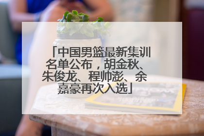 中国男篮最新集训名单公布，胡金秋、朱俊龙、程帅澎、余嘉豪再次入选