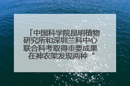 中国科学院昆明植物研究所和深圳兰科中心联合科考取得重要成果 在神农架发现两种“国保”级兰花