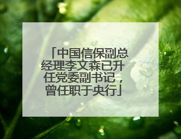 中国信保副总经理李文森已升任党委副书记，曾任职于央行