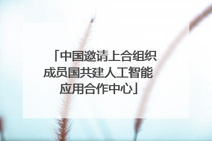 中国邀请上合组织成员国共建人工智能应用合作中心