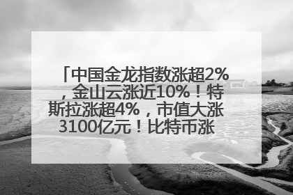中国金龙指数涨超2%，金山云涨近10%！特斯拉涨超4%，市值大涨3100亿元！比特币涨回11万美元关口