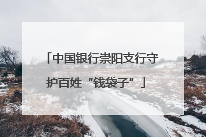 中国银行崇阳支行守护百姓“钱袋子”
