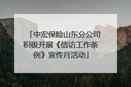 中宏保险山东分公司积极开展《信访工作条例》宣传月活动
