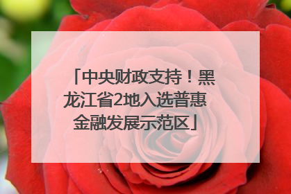 中央财政支持！黑龙江省2地入选普惠金融发展示范区