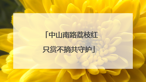 中山南路荔枝红 只赏不摘共守护