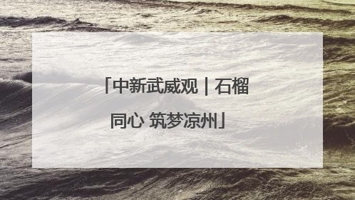中新武威观｜石榴同心 筑梦凉州
