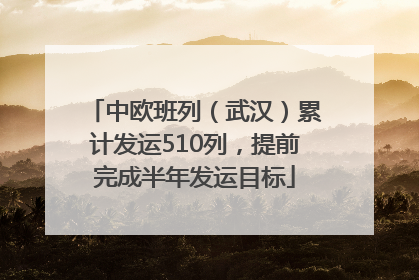 中欧班列（武汉）累计发运510列，提前完成半年发运目标