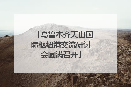 乌鲁木齐天山国际枢纽港交流研讨会圆满召开