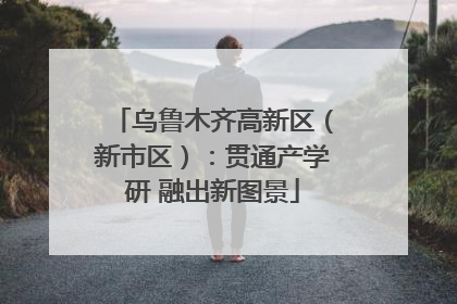 乌鲁木齐高新区（新市区）：贯通产学研 融出新图景
