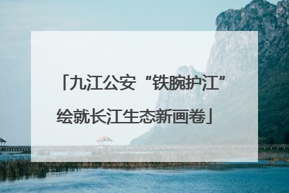 九江公安“铁腕护江”绘就长江生态新画卷