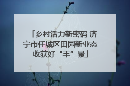 乡村活力新密码 济宁市任城区田园新业态收获好“丰”景