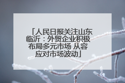 人民日报关注山东临沂：外贸企业积极布局多元市场 从容应对市场波动