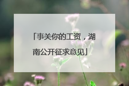 事关你的工资，湖南公开征求意见