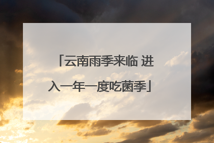 云南雨季来临 进入一年一度吃菌季